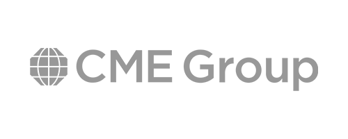 Financial Software Development Services